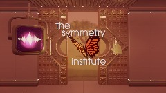 The Symmetry Institute