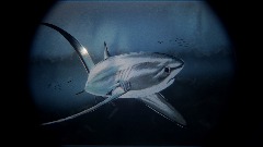 A screenshot taken in Dreams. 2 of 2.