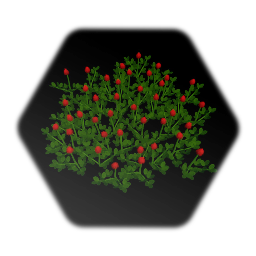Crimson Clover Patch