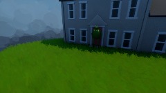 Kermit goes shopping