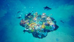 A screenshot taken in Dreams. 2 of 6.