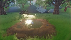 Mud Puddle and Ruins