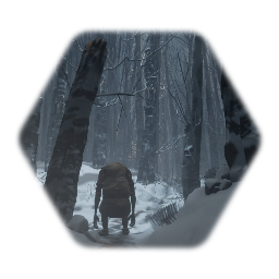 EDC Billy's Winter Forest