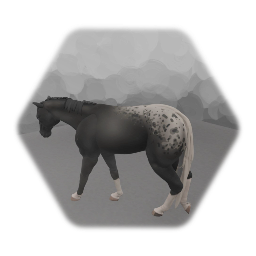 Realistic Horses - Appaloosa 1