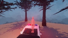 Police in the forest