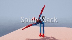 Spider Sack 1-3