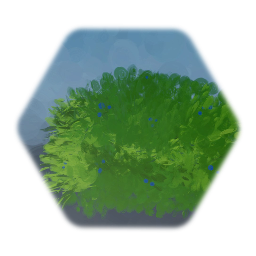 snozberry bush - 19/1/2019