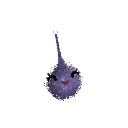UgoCeMoi