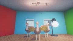 Stupidity's got talent.