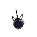 MisMePhoenix