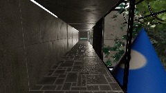 The chase