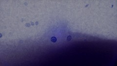 The underwater eye|Alternate Realities CG Challenge