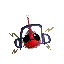 franfraKoloman10