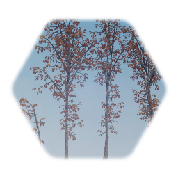 Realistic Forest White OAK (Late Fall)