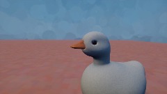 2 friendly ducks adventure