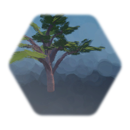 Palm Tree 2 - 19/4/2019