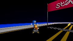 Sanic race