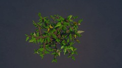 A screenshot taken in Dreams. 9 of 16.