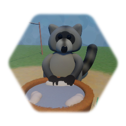 Raccoon Washing