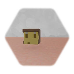 The head of my minecraft character or whatever