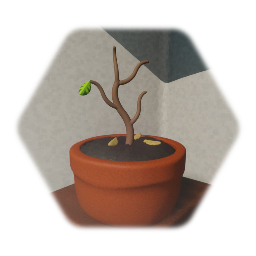 An almost dead plant named Chuck