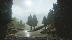 Environmental Forest