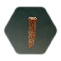 Tree Trunk 2