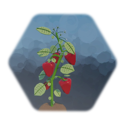 Pepper Plant