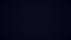 Freddy Fazbear´s Pizza Freeroam