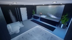 Bathroom Showcase