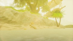 Showcase : the beach