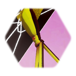 Bob