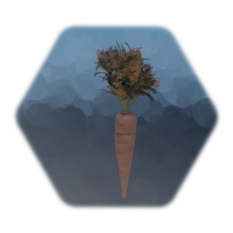 Rotten Carrot