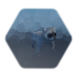 Lil Racoon