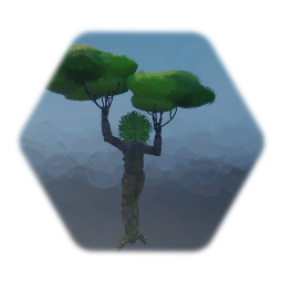 Tree Nymph
