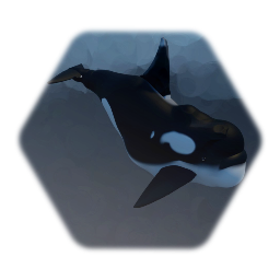 SHOUT! (about orcas)