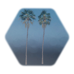 Gameplay Freindly Mexican Fan Palm