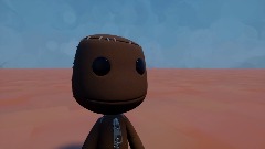 Fast Sackboy