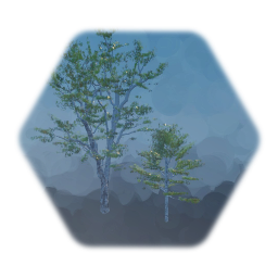 Northwoods Vegetation