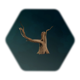 Broken Graveyard Tree