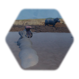 Hippopotamus
