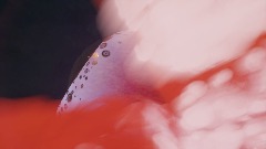 A screenshot taken in Dreams. 3 of 5.