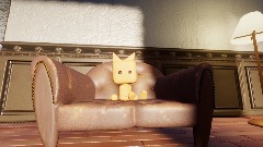 Nix the fox colletion