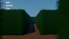 Hedge Maze