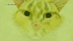 The Drugged Parkour Of The Cat