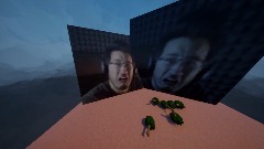 Laila Sings the Tree song