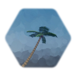 Palm Tree