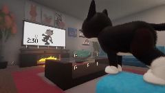 Crayon's amazing race