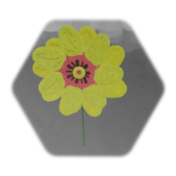 Ursinia calenduliflora