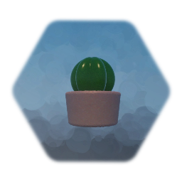 Potted Cactus